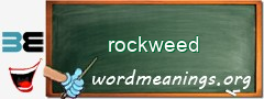 WordMeaning blackboard for rockweed